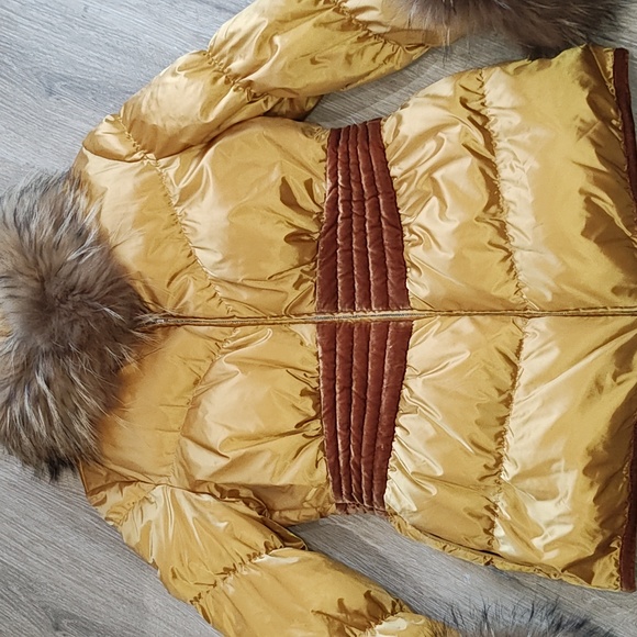 Yellow jacket - Picture 2 of 6